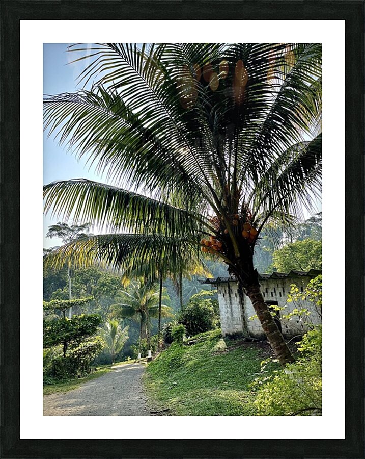 Palm Branches Picture Frame print