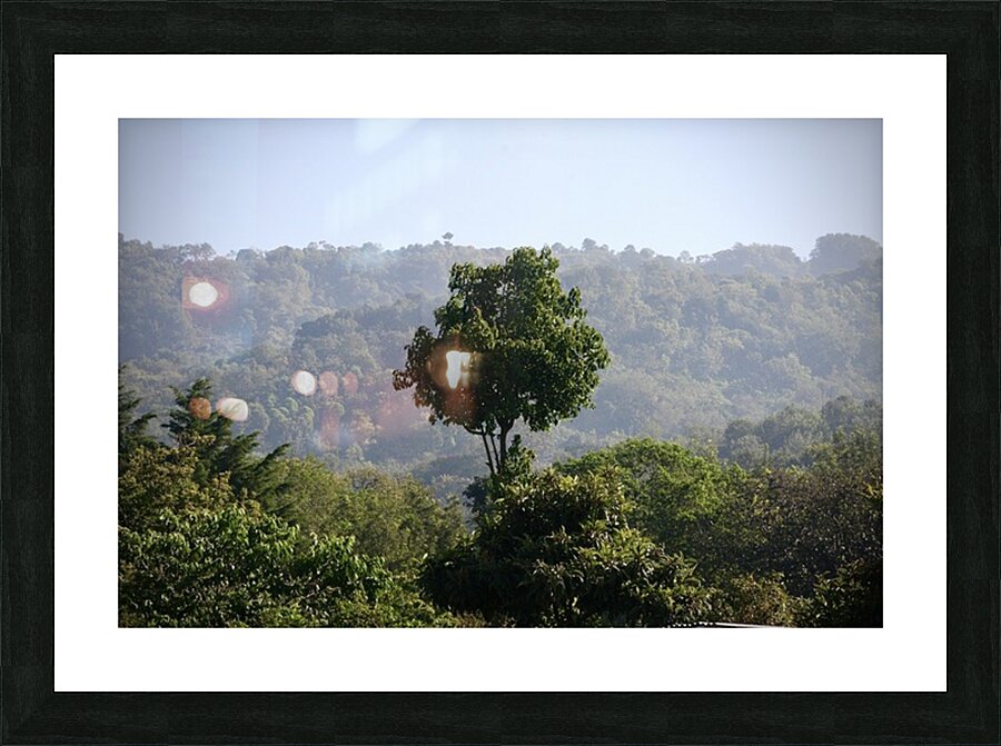 Standing Alone Picture Frame print