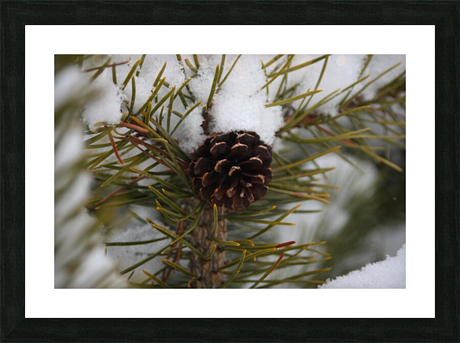 Lone Cone Picture Frame print
