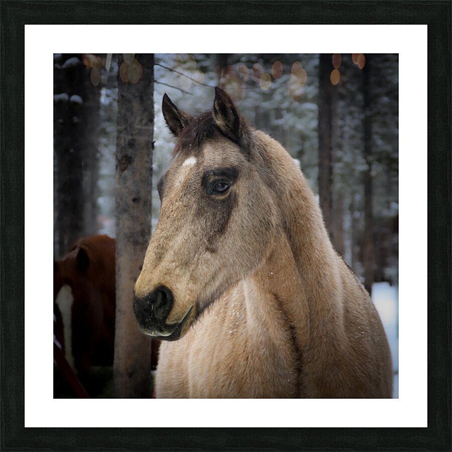 Beauty Picture Frame print