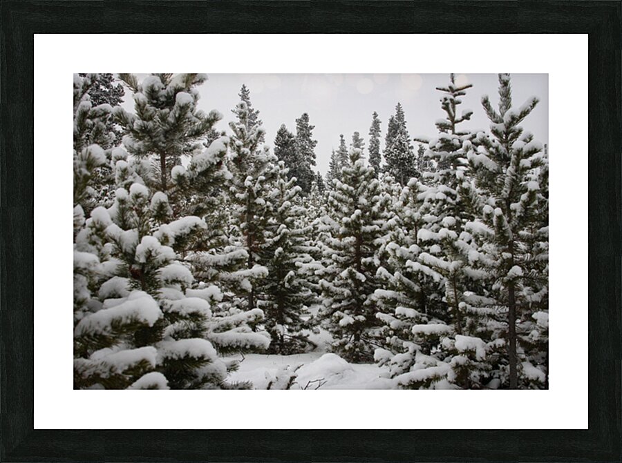 In Deep Snow Picture Frame print