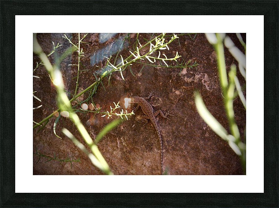 There You Are Picture Frame print