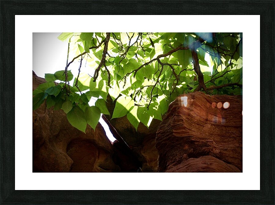 Red and Green Picture Frame print