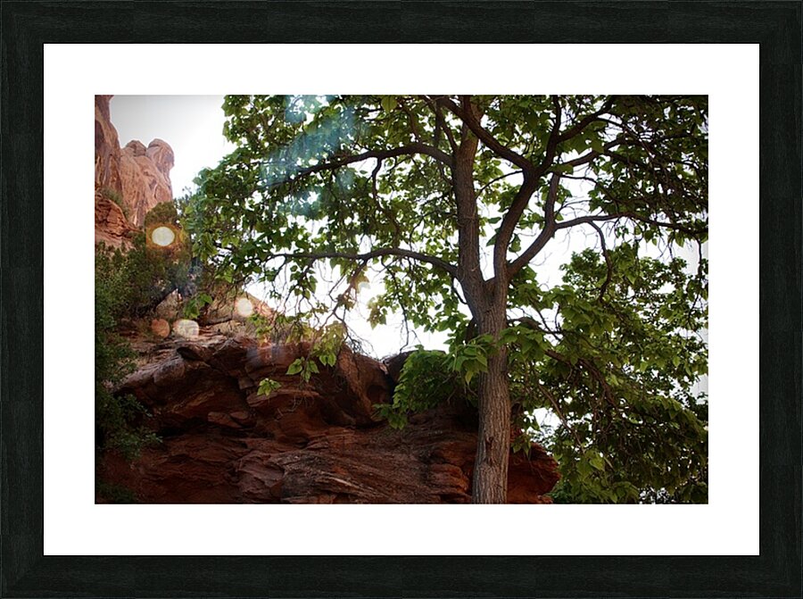 In Shade Picture Frame print