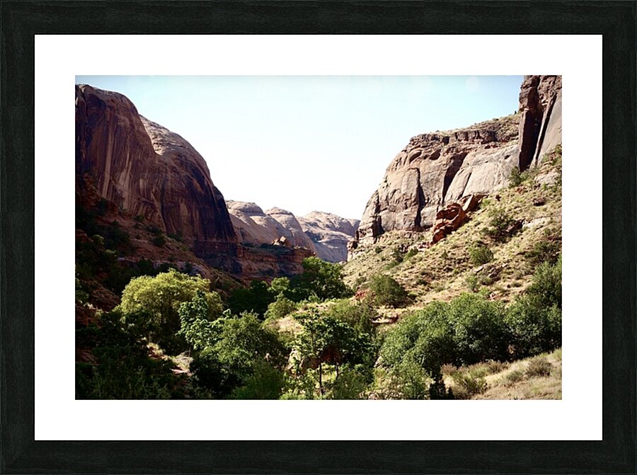 In The Valley Picture Frame print
