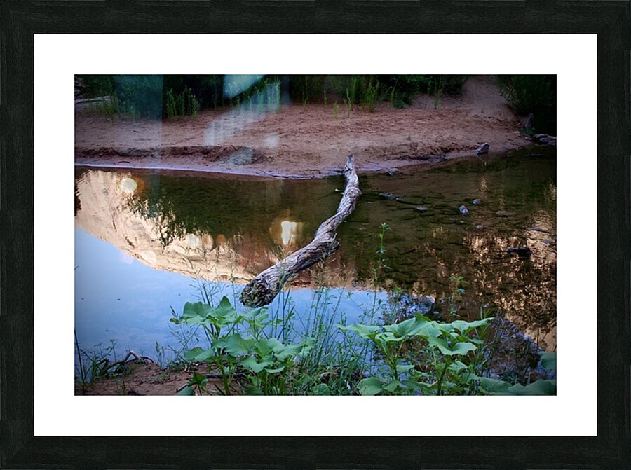 In The Stream Picture Frame print
