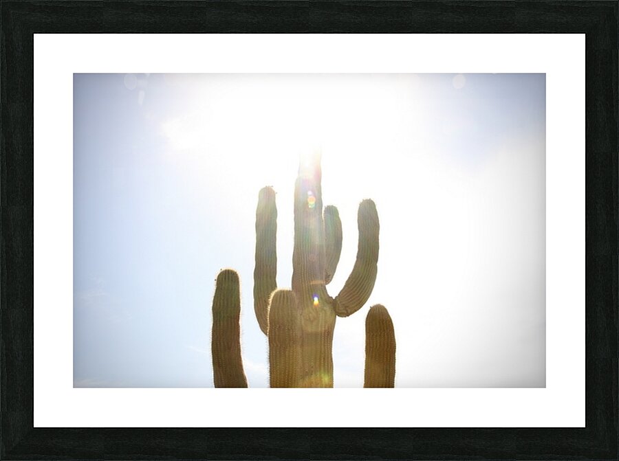 One Big Cactus Picture Frame print