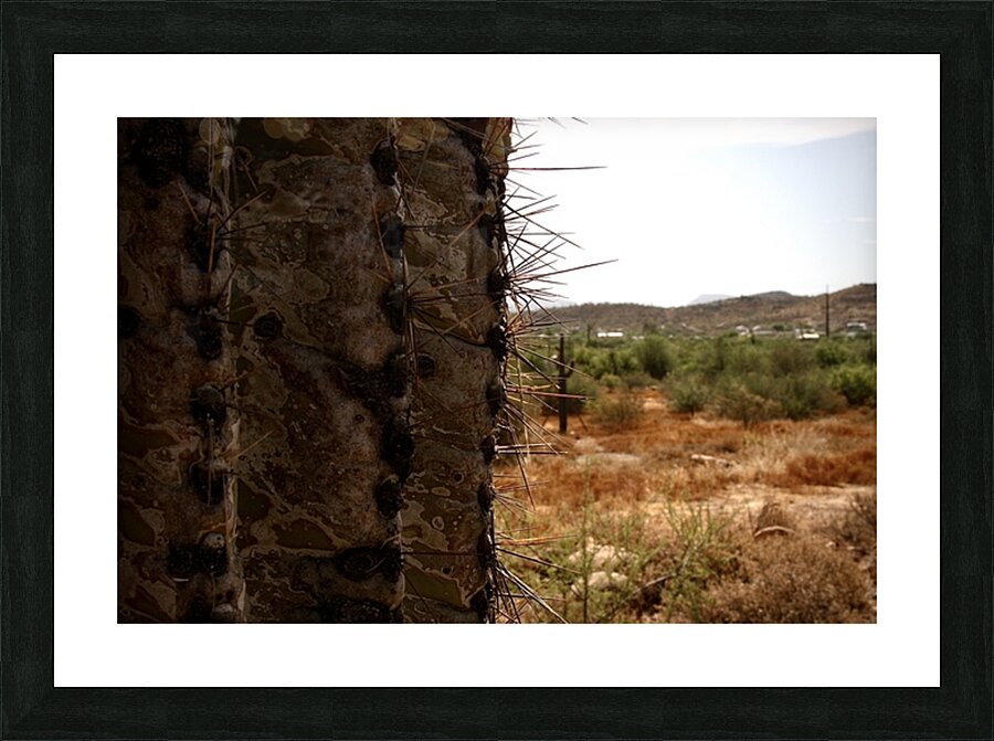 A Bit Sharp Picture Frame print