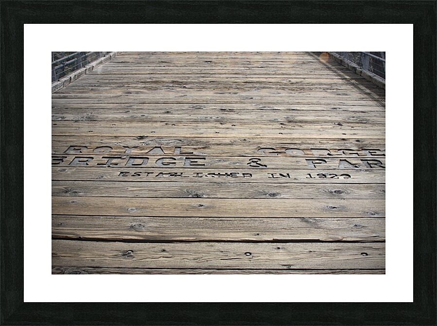 Royal Gorge Picture Frame print