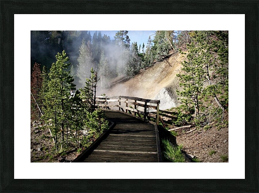 Bridge Through Steam Picture Frame print