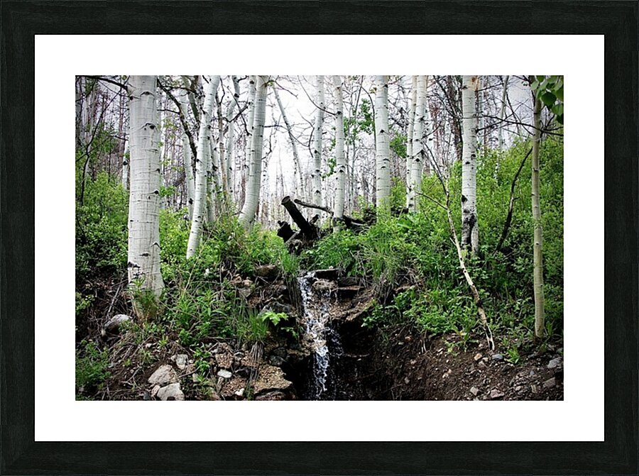 A Green and Cloudy Day Picture Frame print