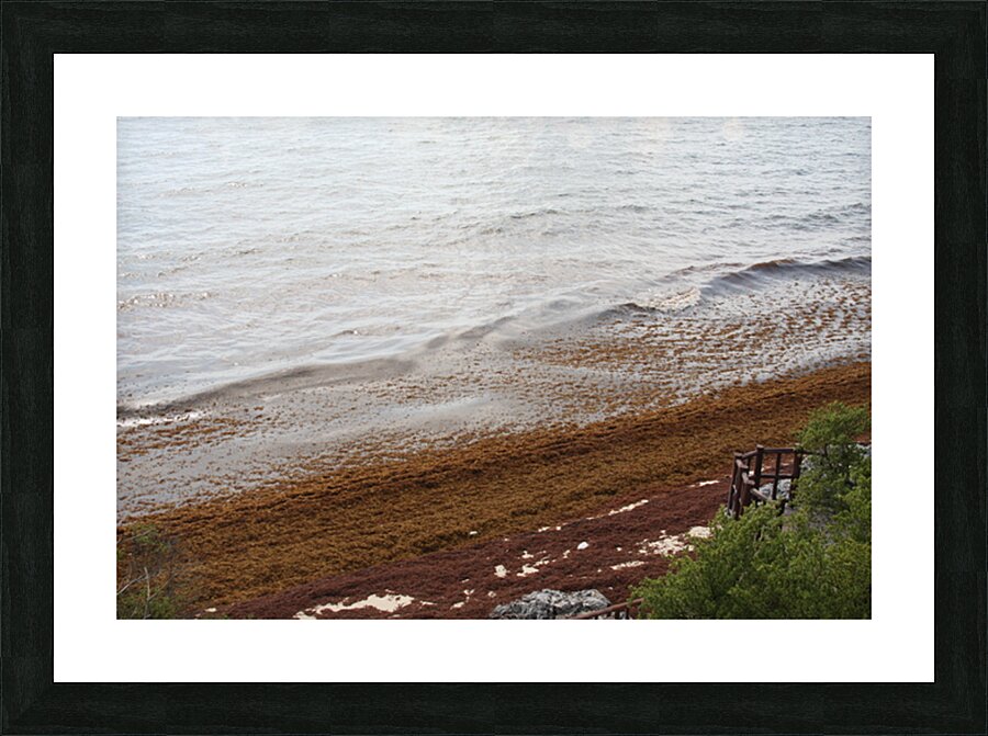 Look Out Picture Frame print