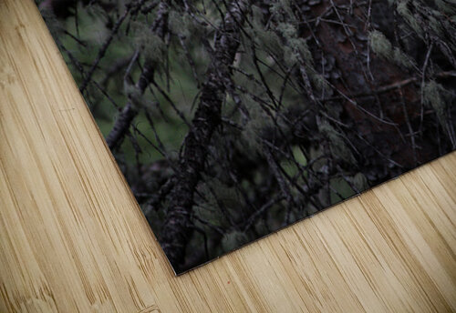 In Darkness Cora Noelle puzzle