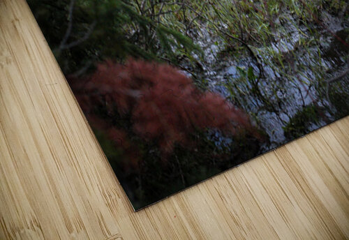 In The Marsh Cora Noelle puzzle
