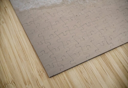 Day On The Beach Cora Noelle puzzle