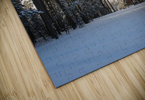 Quiet View Cora Noelle puzzle