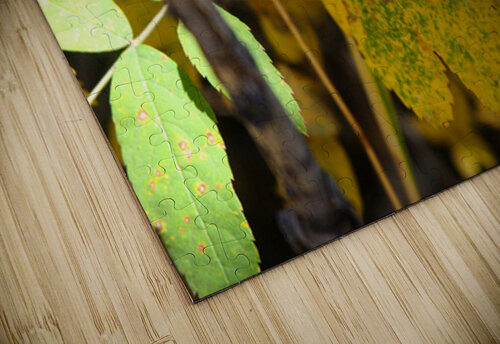 Wild Bud Cora Noelle puzzle