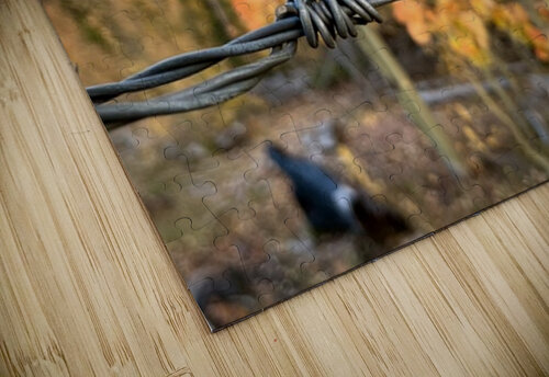 Autumn Wire Cora Noelle puzzle