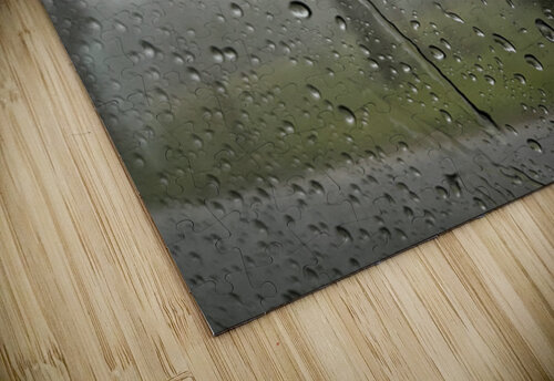 Through Rain Cora Noelle puzzle