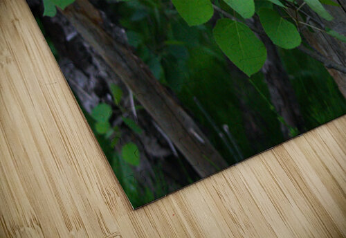 Leaves and Trees Cora Noelle puzzle
