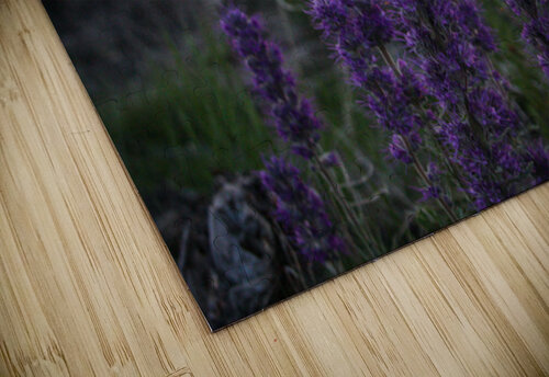 Blue Alpine Sunset Cora Noelle puzzle