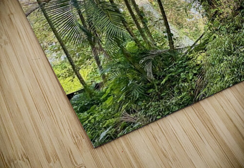 Shack In Vines Cora Noelle puzzle
