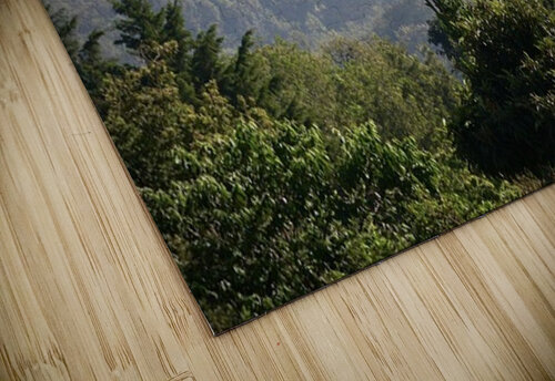 Standing Alone Cora Noelle puzzle