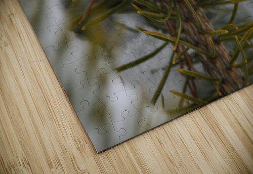 Lone Cone Cora Noelle puzzle