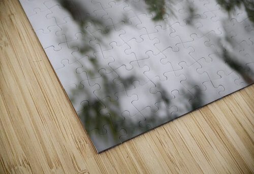 Hanging In There Cora Noelle puzzle