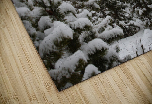 In Deep Snow Cora Noelle puzzle