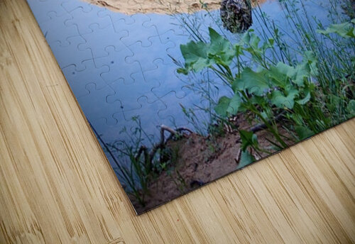 In The Stream Cora Noelle puzzle