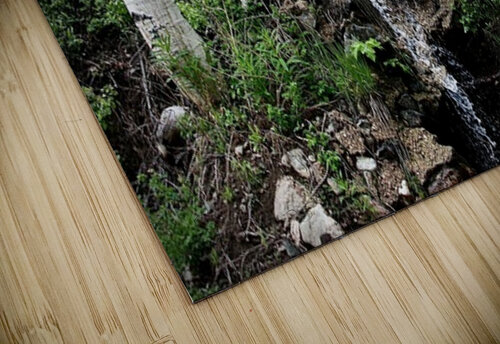 A Green and Cloudy Day Cora Noelle puzzle