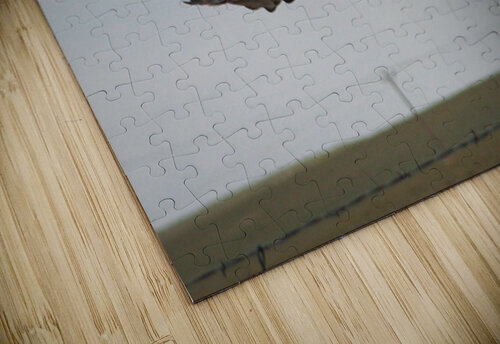 Take Flight Cora Noelle puzzle