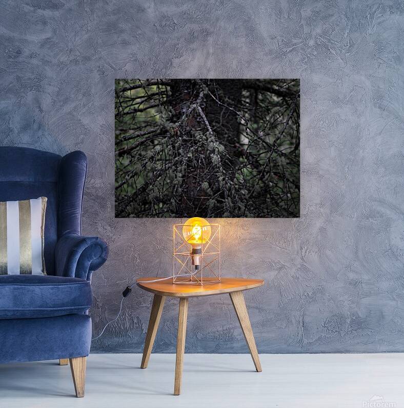 In Darkness Reproduction