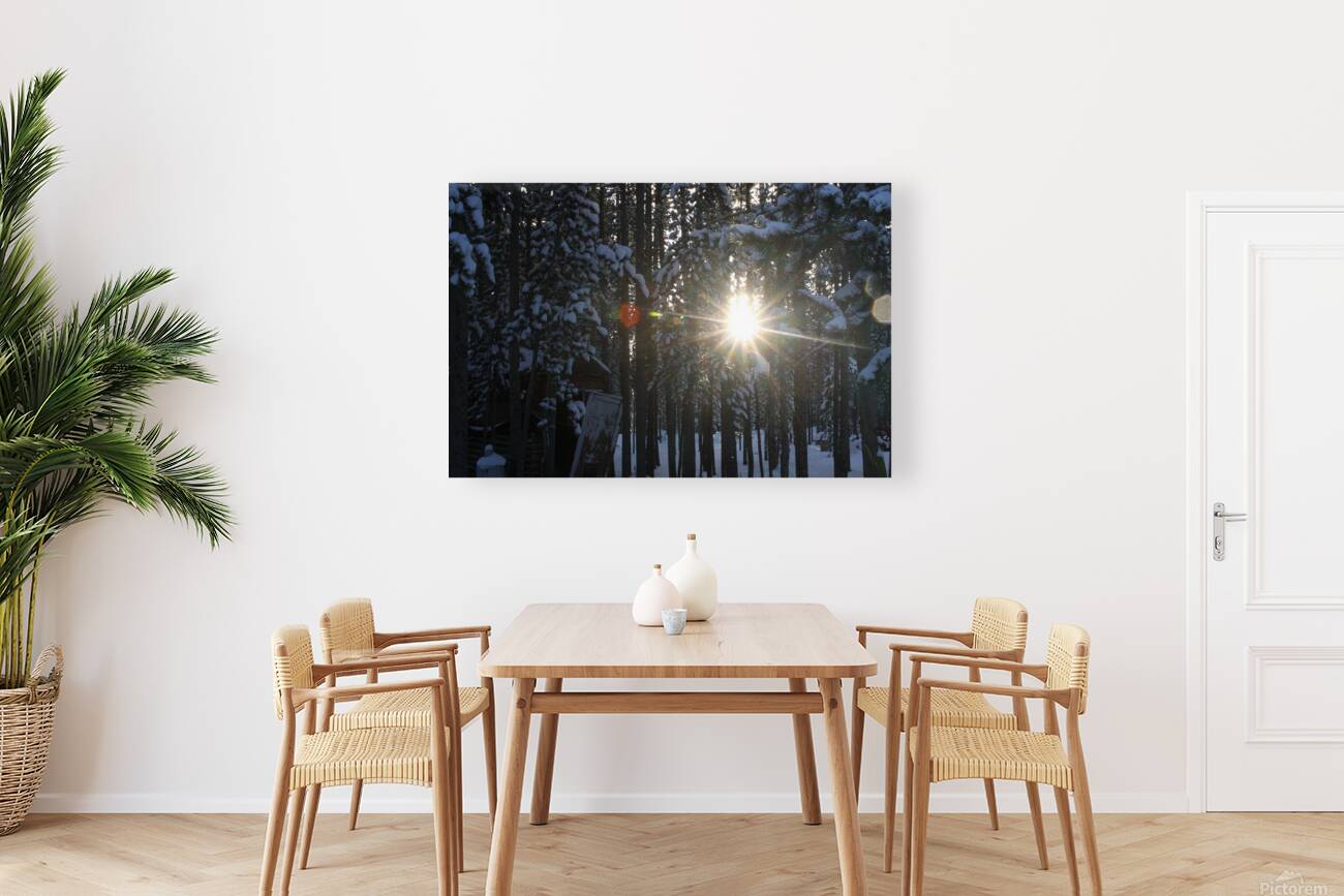 Cold Sun Reproduction