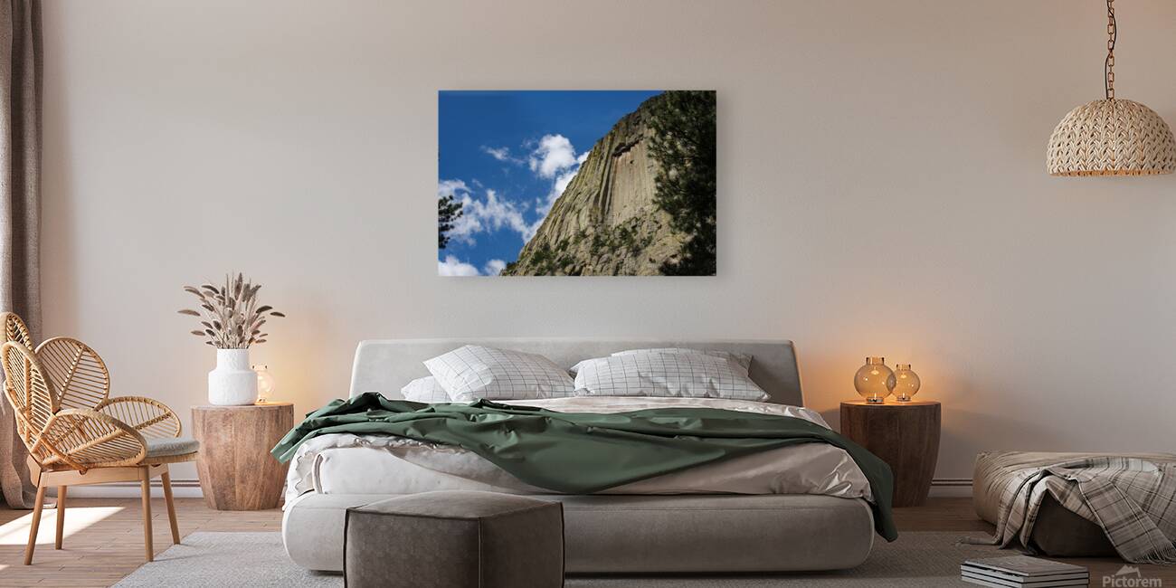 With The Sky Reproduction