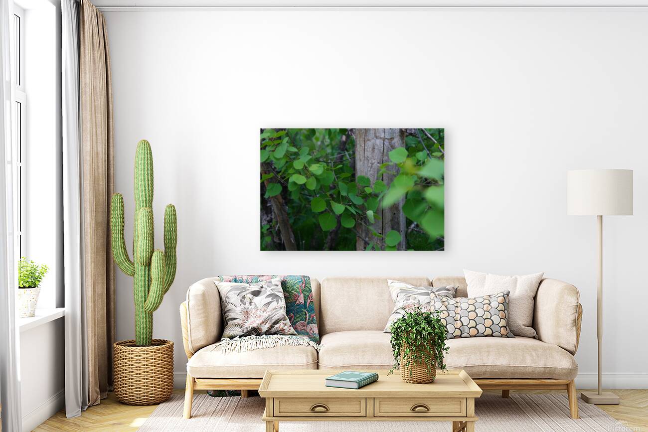 Leaves and Trees Reproduction