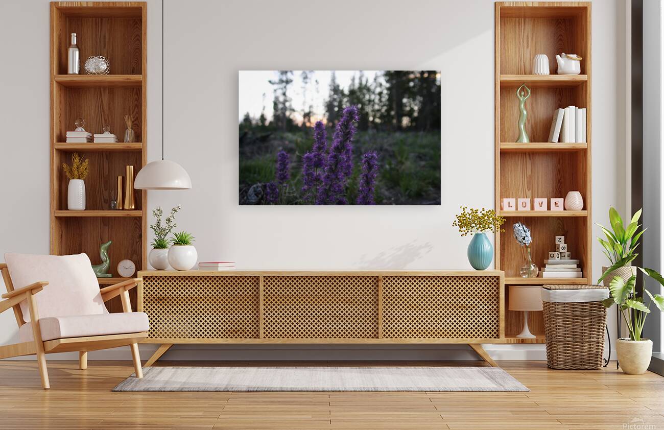 Blue Alpine Sunset Reproduction