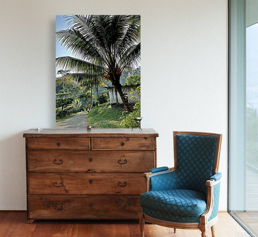 Palm Branches Reproduction