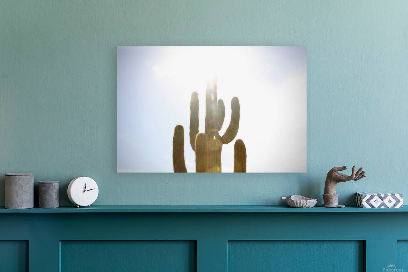 One Big Cactus Reproduction