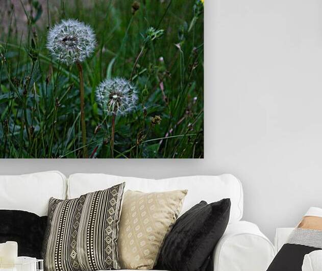 White and Green Reproduction