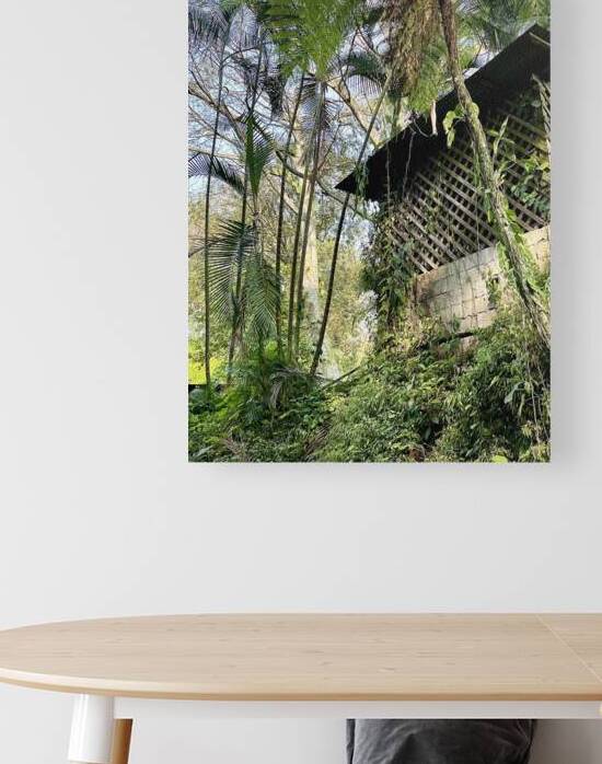 Shack In Vines Reproduction