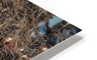 Dirty Bottle HD Metal print