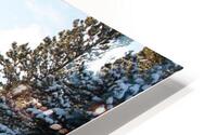 Quiet View HD Metal print