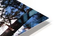 From Here HD Metal print