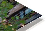 Aspens Low HD Metal print