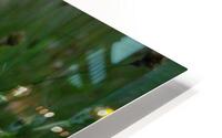 White and Green HD Metal print
