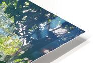 Through Coffee Plantations HD Metal print