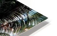 Palm Branches HD Metal print