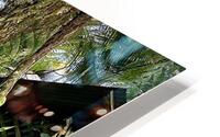 Shack In Vines HD Metal print
